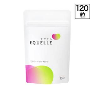 エクエル パウチ エクオール 大塚製薬 120粒入り 1袋の写真