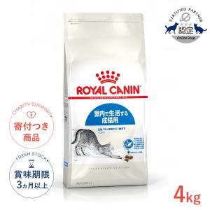 ペットシーツ 薄型 厚型 レギュラー ワイド スーパーワイド Famy ファミー JPPMA認証 ペットシート 送料無料 トイレシート 犬の写真